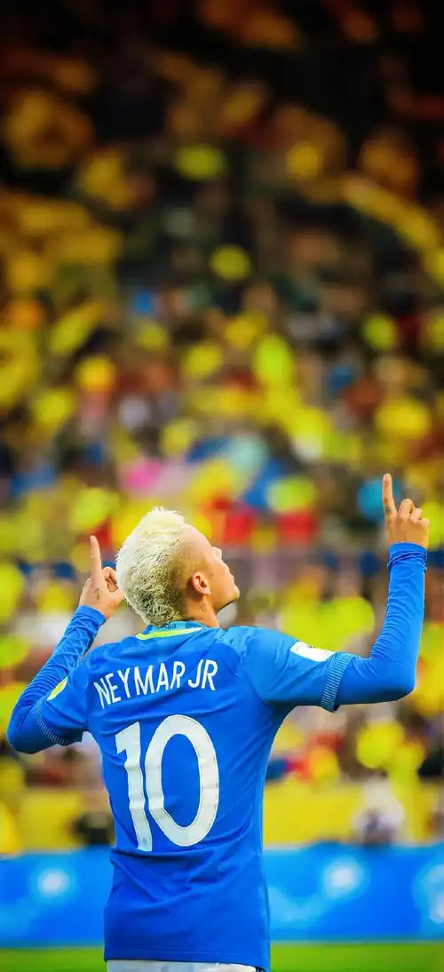 却是令人期 却是令人期