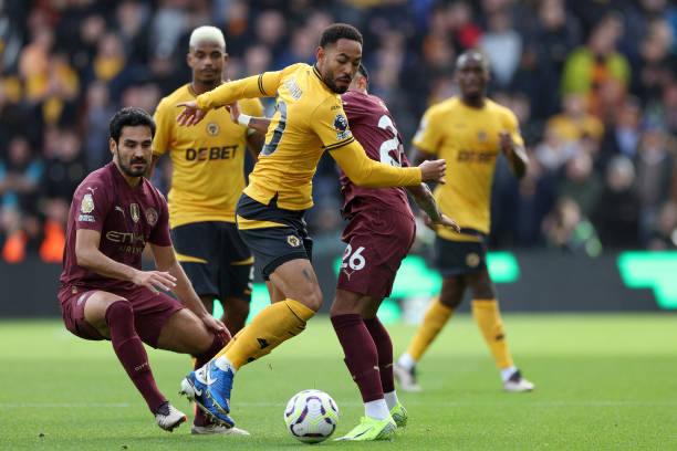 不仅致力于 不仅致力于